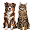 Perro y Gato icon