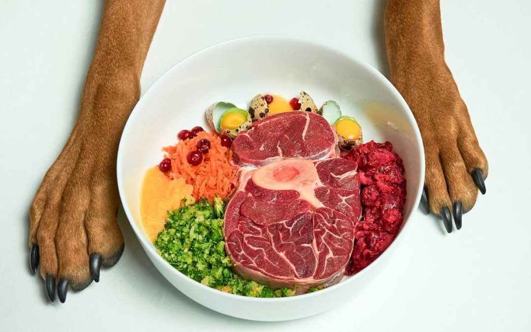 Dieta para perros: ¿qué hay que tener en cuenta?