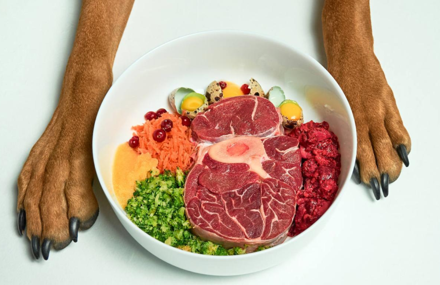 Dieta para perros: ¿qué hay que tener en cuenta?